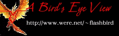 Bird is a friend I need to talk to more often.  "banner" stold from her front page